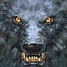Toy(e)🐺 profil fotoğrafı