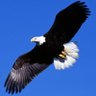 Tinker Man's profile picture
