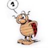 le bedel franck's profile picture