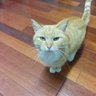 Col G profil fotoğrafı