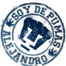 alejandro's profile picture