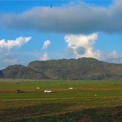 عبده الناشري's profile picture