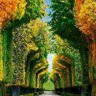Weam Al Sabbagh 的头像