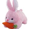 Фото профиля Carrot Rabbit