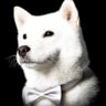 Shi_Ba___INU（しば 犬） profil fotoğrafı