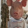 Mr. Pigface's profile picture