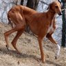 Anlly's profile picture