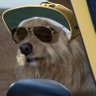 Profilbild von Dan
