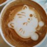 Profilbild von ちふみん