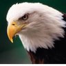 Profilbild von FreeEagle