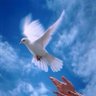الشاعره فجر الجنوب's profile picture