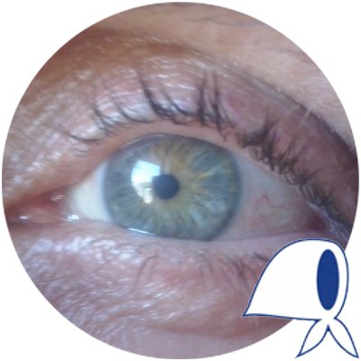 ProfeEduardoOk's profile picture