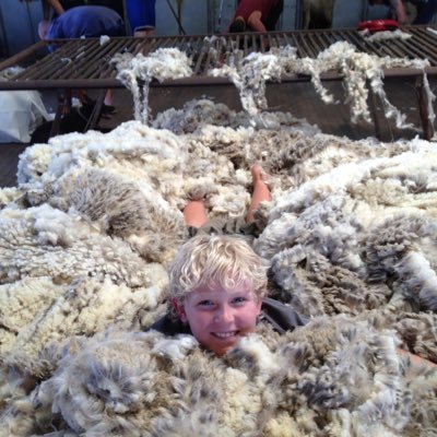 Michael Hart's profile picture
