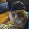Rachel's profile picture