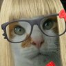 RANDY's profile picture
