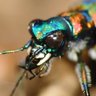 とし”ぼぶ”ぞう虫 profil fotoğrafı