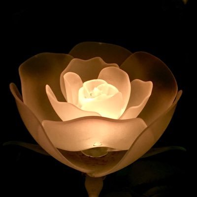 新むさし野ファーム's profile picture