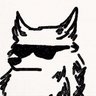 Torrdog profil fotoğrafı