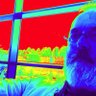 Karl Bentley's profile picture