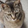 Фото профиля こかちゃん