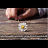 بوعبدالله's profile picture