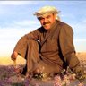 Profilbild von جمعه الصيرفي