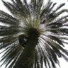 IBN NAJD's profile picture