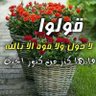 Fahad 的头像