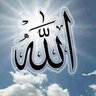 Profilbild von ترنيمة سلام