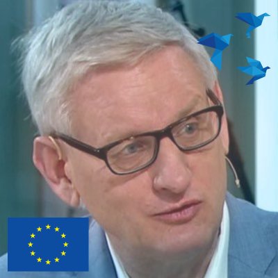 Carl Bildt's profile picture