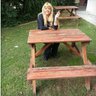 Фото профиля LA UNICA Y AUTENTICA
