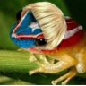 Mannuuu cortol's profile picture