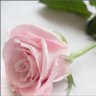 Yuma profil fotoğrafı