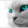 じゃこりん profil fotoğrafı