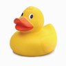 NotYourOwnDuck's profile picture