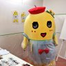 ゆきりん profil fotoğrafı