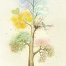 Фото профиля 盛夏天