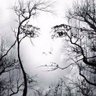 Profilbild von Mourning America