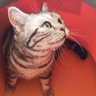 Profilbild von さとうさん