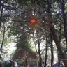 GLHNGU profil fotoğrafı