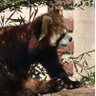 バナージ's profile picture