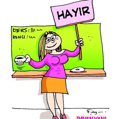 guneysimsek35's profile picture