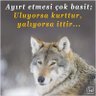 Profilbild von kürşat