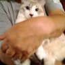 kumitaiso profil fotoğrafı