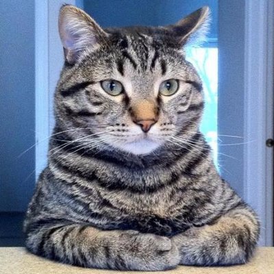 MAkif 📚🤓🖥️👨💻☮️ 🇪🇺🇹🇷🌍's profile picture