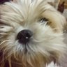 Hunter's profile picture