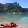 Absynthe profil fotoğrafı