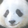 織田ゴム長 的头像