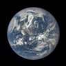 Global Human Shame 的头像