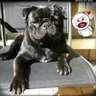 Profilbild von Sammy